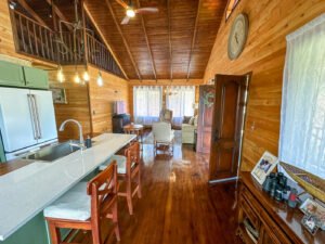 DJI_20240302_112047_940 AM